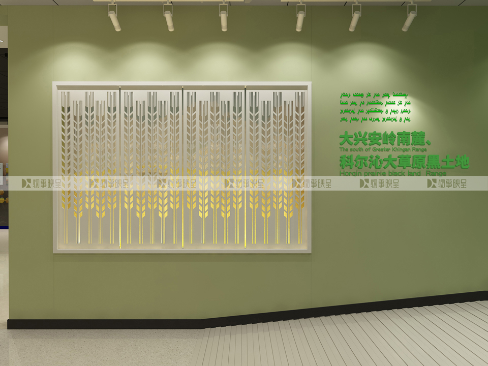 c6 ��������-Z.jpg